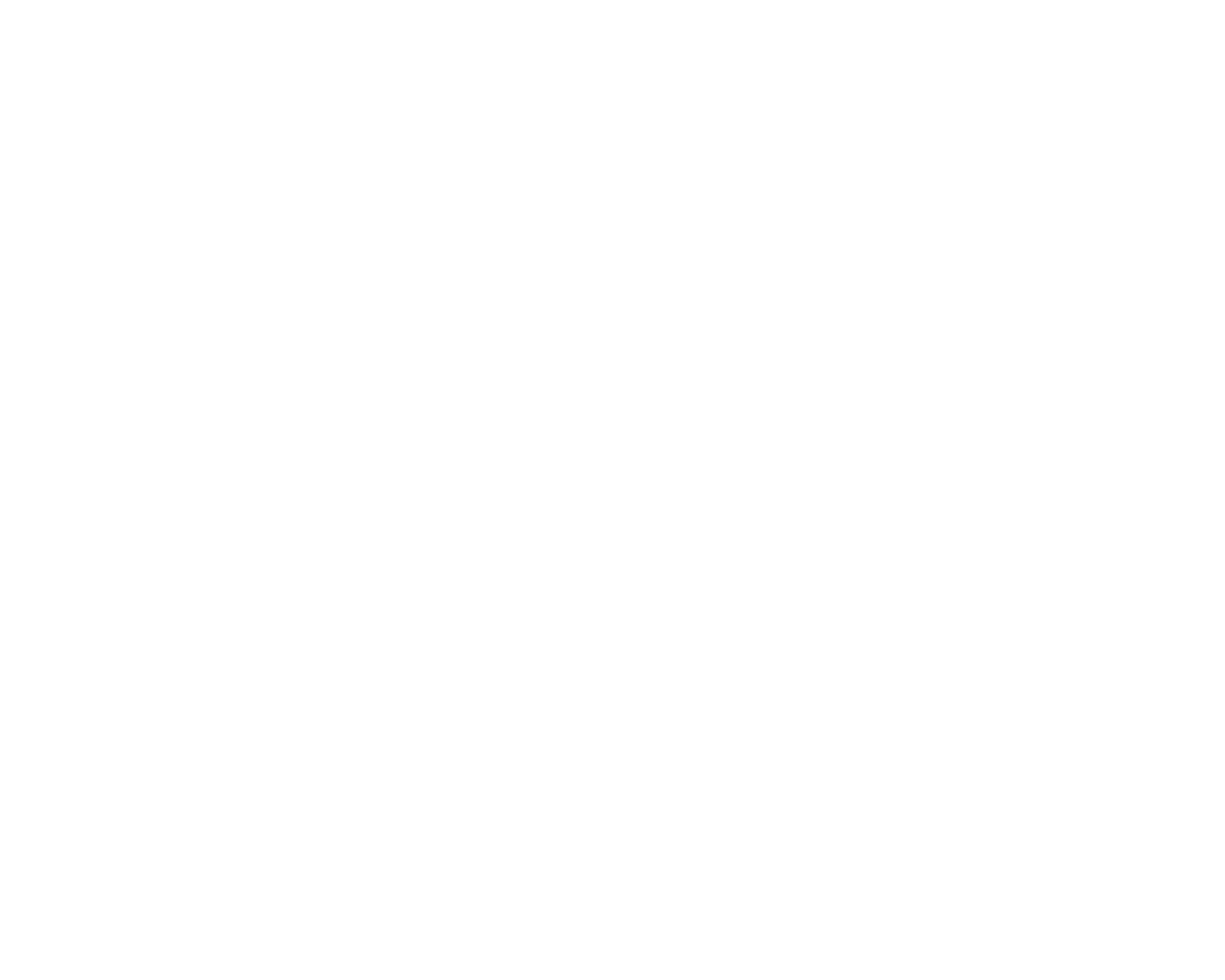 THE HAIR FEEN 